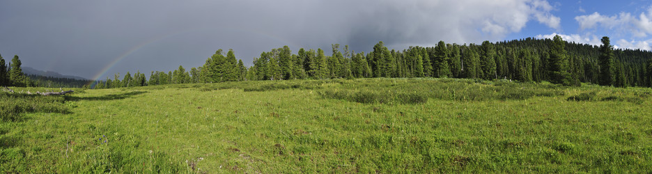 Similar image 5979616