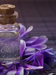 Similar image 5979792