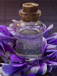 Similar image 5979795