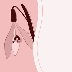 Similar image 5980034