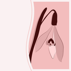 Similar image 5980063