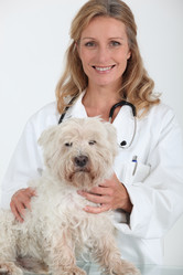 Similar image 5980225