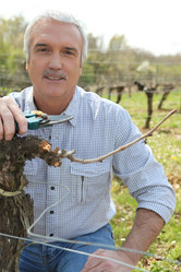 Similar image 5980291