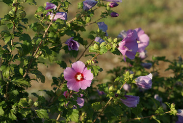 Similar image 5980319