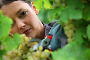 Similar image 5980391