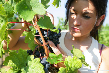 Similar image 5980401