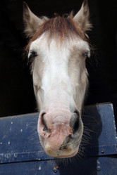 Similar image 5980422