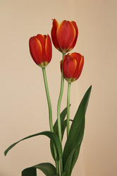 Similar image 5980490