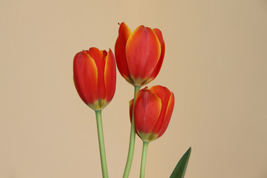 Similar image 5980491