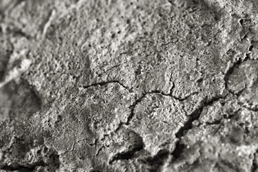 Similar image 5980502