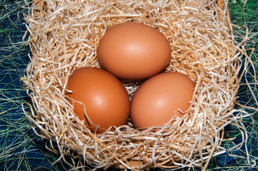 Similar image 5980514