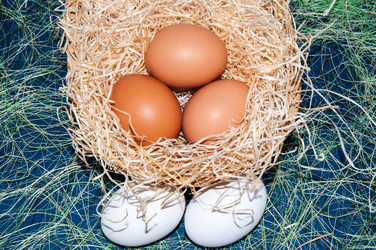 Similar image 5980516