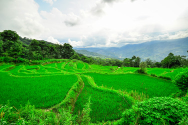 Similar image 5980543