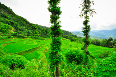 Similar image 5980545