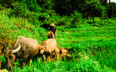 Similar image 5980547