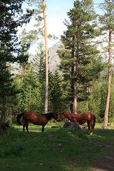 Similar image 5980656