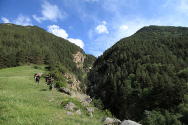 Similar image 5980659