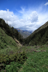 Similar image 5980660