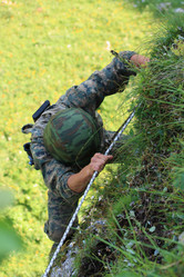 Similar image 5980661