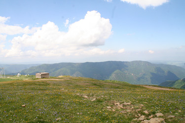 Similar image 5980679