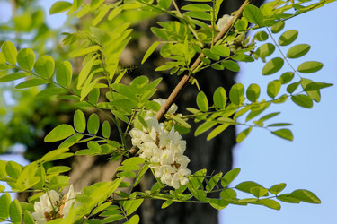 Similar image 5980741