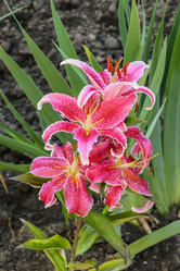 Similar image 5980747