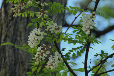 Similar image 5980750