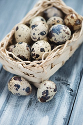 Similar image 5980817