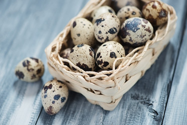 Similar image 5980819