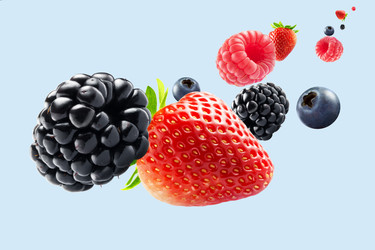 Similar image 5981002