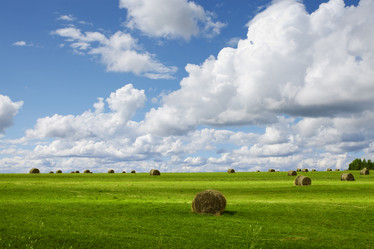 Similar image 5981005