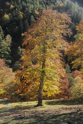 Similar image 5981007