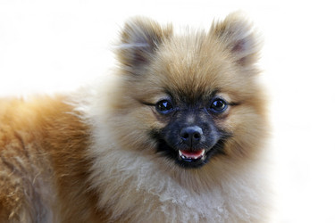 Similar image 5981022