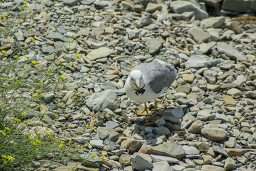 Similar image 5981053