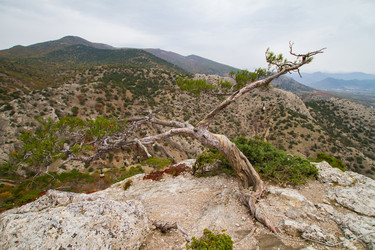 Similar image 5981091