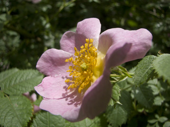 Similar image 5981111