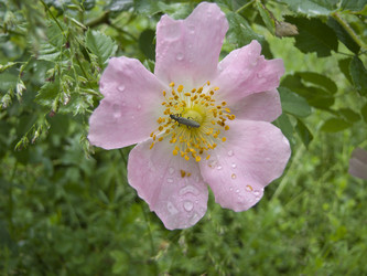 Similar image 5981112