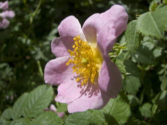 Similar image 5981113