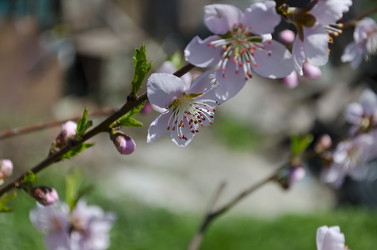 Similar image 5981114