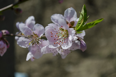 Similar image 5981115