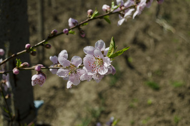 Similar image 5981116