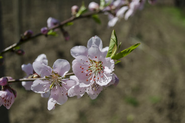 Similar image 5981117