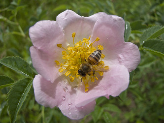 Similar image 5981118