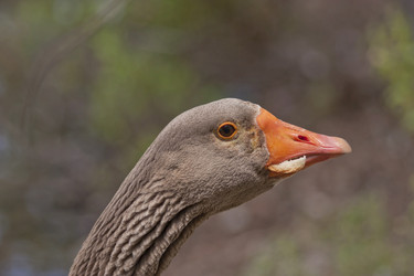 Similar image 5981202