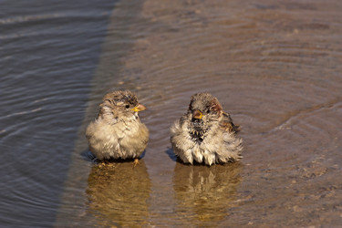 Similar image 5981203