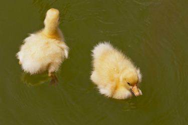 Similar image 5981204