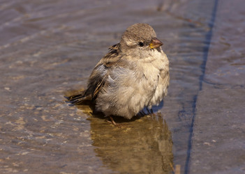 Similar image 5981205