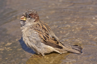 Similar image 5981206