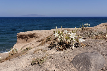 Similar image 5981209