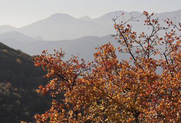 Similar image 5981214